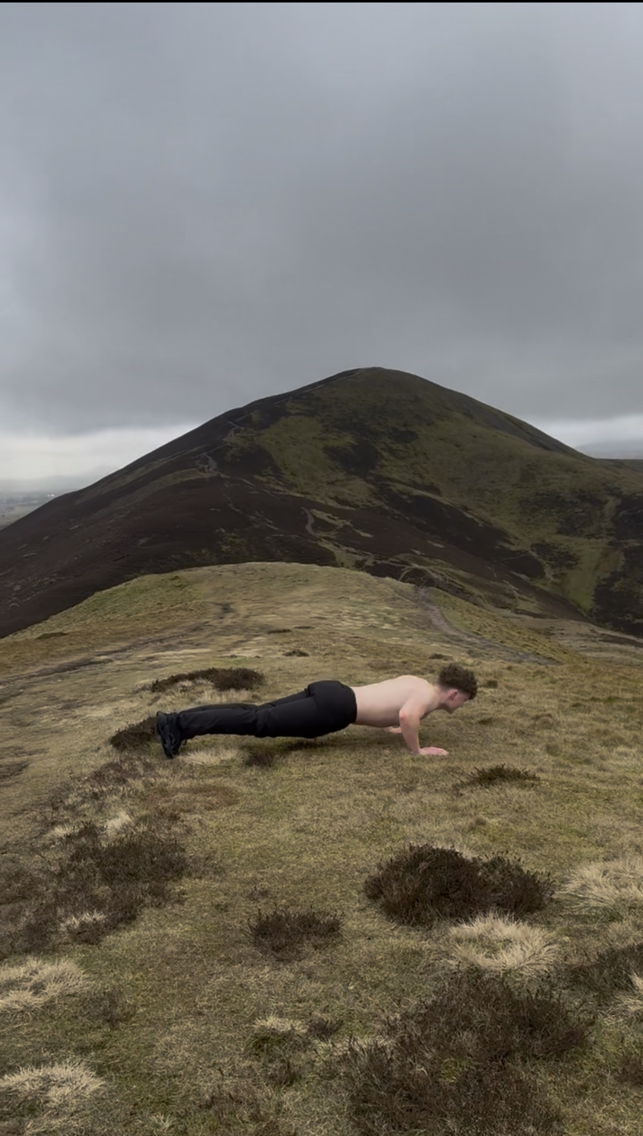 Sean Higgins