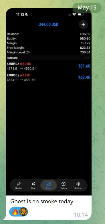 A member's trading account in profit